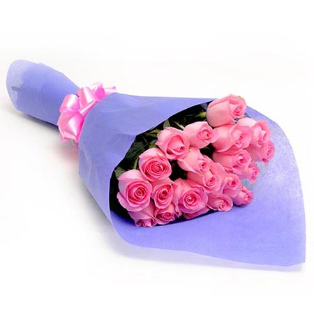 20 roses pink 20 roses pink